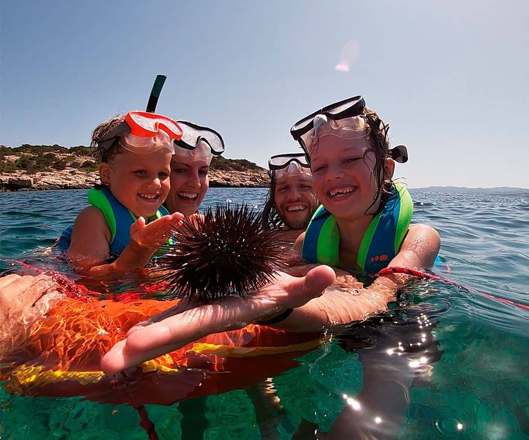 Meet the Sea Guided snorkelling tour with sea urchin