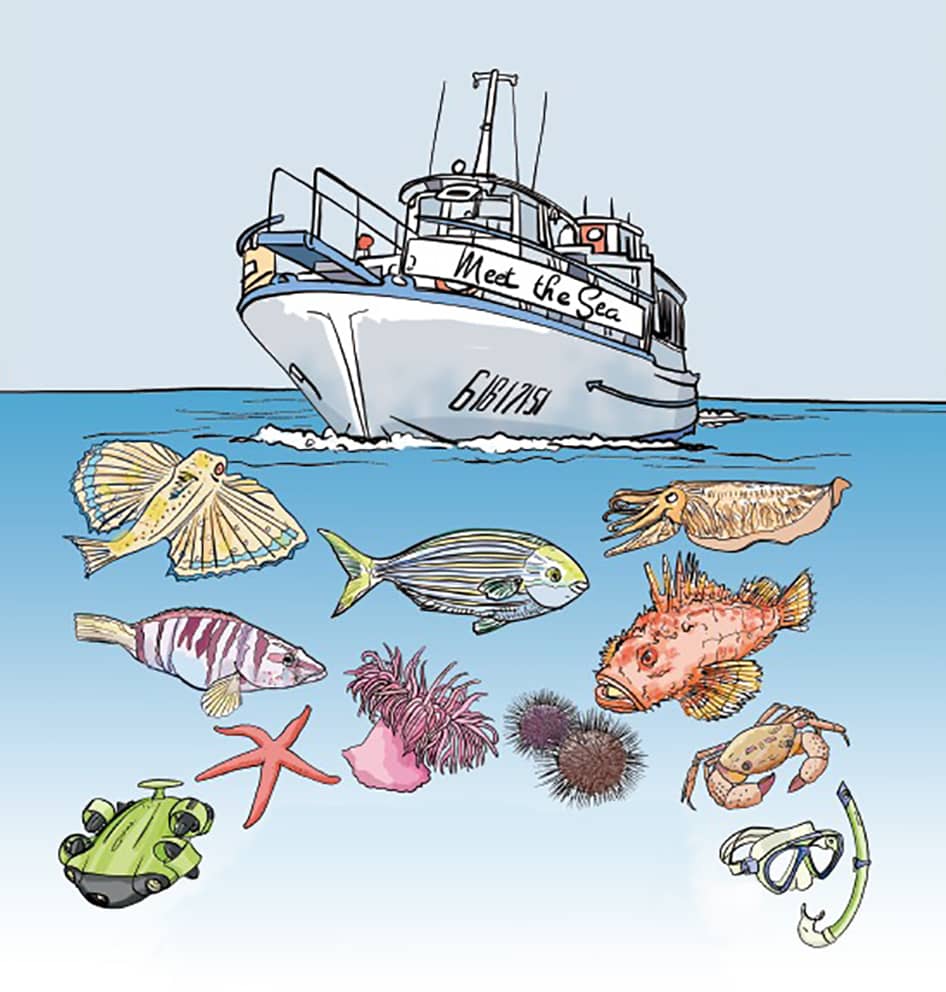 About us page of Meetthe Sea depicting a drawing of our boat and the specuies we see underwater